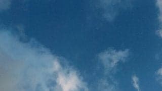 夏バテの原因と養生