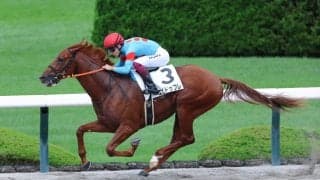 【新馬/阪神6R】ゴールドドリーム産駒エピドゥブレがデビューV…2馬身半差の快勝