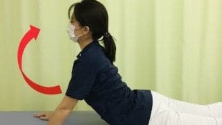 【医師に相談】恥骨結合炎（恥骨炎）とはどのような病気ですか？