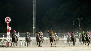 【門別・グランシャリオクイーンズ結果】1番人気ゼロアワーが逃げ切って重賞6勝目を挙げる