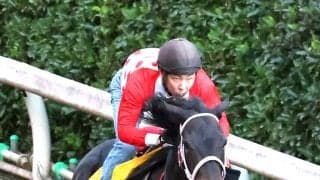 【アイルランドＴ・データ埋蔵金】ラヴァンダ連覇へデータも追い風　穴候補の当レースと好相性の４歳馬とは…