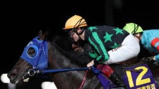 【大井・東京盃結果】大井のゼーロスが差し切ってDG競走初制覇を飾る