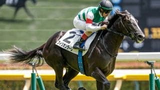 【サウジアラビアRC枠順確定】フィリオソラーレは5枠5番、ベルウッドディープは6枠6番