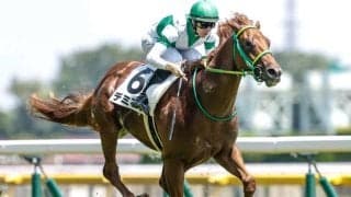 【サウジアラビアRC予想】2歳戦は前走の経験が重要！ 能力的にも疑問が残る軽視すべき人気馬