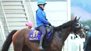 【アイルランドＴ】秋の始動戦迎えるカムニャックは落ち着きがカギ　友道調教師「いかに平常心で本番に臨めるか」