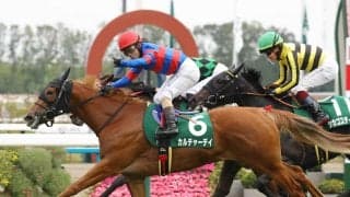 ２３年ファンタジーＳ覇者カルチャーデイが左前脚骨折のため引退　今後は繁殖牝馬となる予定