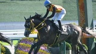 【JRA・WIN5】本日のWIN5は的中318票、配当108万6880円