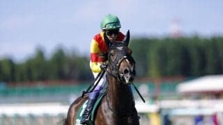 武豊騎手 今週の騎乗馬3日間で16鞍…スワンSはエリカエクスプレスに騎乗