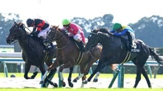 「脳汁出た」「なんでやねん」最低人気で高額牡馬２頭を撃破した牝馬のビップヴィーナスにＳＮＳ驚がく