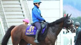 【アイルランドＴ】川田将雅騎手と大外枠から挑むカムニャックが１番人気　２、３番人気は拮抗