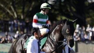 【サウジアラビアRC】1番人気フィリオソラーレは3着…アゴルディーノが大外一気の差し切りV