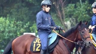 【１１日の注目・東京５Ｒ】良血ぞろいの一戦　ブレイディヴェーグ半弟のアインザッツが初陣Ｖへ　宮田調教師「奥手そうな芝の中距離型」