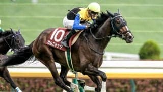 【アイルランドT予想】エリザベス女王杯へ向けた一戦 長い直線で瞬発力問われる東京1800m