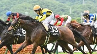 【アイルランドT予想】狙うべき人気順・枠・騎手・馬名!? 過去データから探るGIIアイルランドT