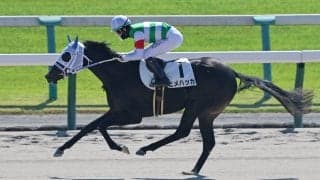 【京都３Ｒ・２歳新馬】ヒメハッカが豪快に差し切りデビュー勝ち　松山弘平騎手「強かったと思います」