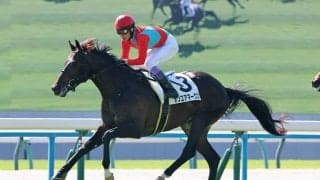 京都の２歳未勝利でまたレコード！武豊騎手のオンユアマークスが差し切り快勝　レジェンドは「まだ良くなりそう」