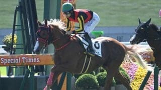 【京都5R新馬戦結果】サートゥルナーリア産駒ゴルトクリーガーが断然人気に応えてV