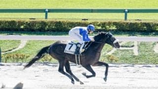 【東京4R新馬戦結果】ダノンプレミアム産駒ロードアマデウスが5馬身差で圧勝