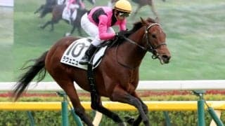 【京都７Ｒ】まさか…単勝１・４倍の大物候補ラヴェニューは４着　“超ハイレベル”共同通信杯以来の復帰戦を飾れず
