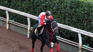 日曜東京競馬場の注目激走馬…東京１１Ｒアイルランドトロフィー・Ｇ２
