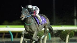 【盛岡・トパーズカップ】重賞3勝目狙うディオニス、復帰戦快勝のアウトザローなど有力馬が激突