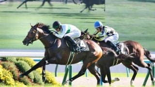【京都１０Ｒ・三年坂Ｓ】トミーバローズが３連勝でオープン入り決める　坂井瑠星騎手「言うことのない内容です」