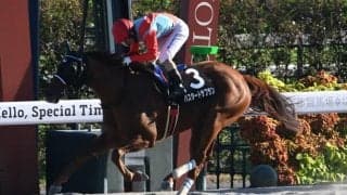 【太秦S結果】7番人気バスタードサフランが抜け出しオープン初勝利