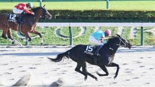 直線だけで１４頭ごぼう抜き！「ブロードアピールの再来」「とんでもない」芝並み上がりマークのヤマニンアストロンにネット仰天