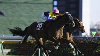 【アイルランドトロフィー】オークス馬カムニャックが貫禄の差し切りV！秋初戦を快勝