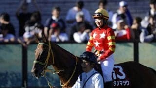 【アイルランドT】小林美駒騎乗ワタシマツワは11着…好位追走も直線で失速