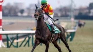 【スワンS予想】マイルCSの優先出走権かかる一戦 距離適性問われる京都芝1400m