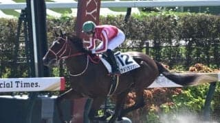 【京都4R新馬戦結果】フライトライン産駒アメリカンソウルが断然人気に応えて快勝