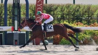 【京都４Ｒ・２歳新馬】フライトライン産駒アメリカンソウルが３馬身差快勝　矢作調教師「ダート路線でいこうと思います」