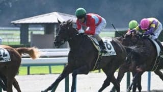 【京都5R新馬戦結果】コントレイル産駒レインインザスカイが最後方からの直線一気V