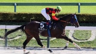 【東京８Ｒ・プラタナス賞】「すごくいい感じ」ルメール騎手が大絶賛　ウィンターブリーズが砂転向後２連勝