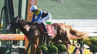 【スワンS結果】3歳馬ダイヤモンドノットが大接戦を制し重賞3勝目