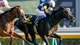 【オクトーバーS結果】アスクセクシーモアがイン突きで接戦制しオープン初勝利