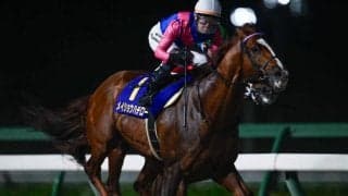 【盛岡・南部杯結果】吉原寛人騎手騎乗のメイショウハチローが戴冠！ 福永祐一調教師はGI級競走初制覇！
