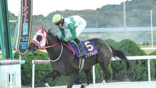 【ネクストスター佐賀結果】リケアルンバが5馬身差で圧勝 無傷3連勝で重賞初V