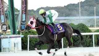 【ネクストスター佐賀】単勝１・２倍のリケアルンバが無傷３連勝で重賞初勝利　石川倭騎手「本当に強い馬」