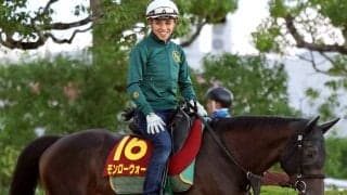 【秋華賞】ジュウリョクピエロ登録見送りで７年ぶりの桜花賞＆オークス馬参戦なし　ファインモーションＶの０２年を含め過去３回だけ