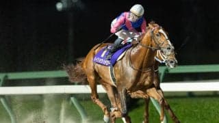 【盛岡・南部杯】福永厩舎メイショウハチローが交流G1初制覇！ウィルソンテソーロは3着で連覇ならず
