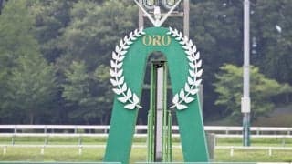 【盛岡・南部杯】断然人気ウィルソンテソーロは3着…馬群をこじ開け猛追も連覇ならず