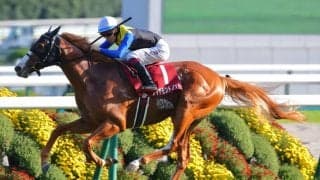 【スワンS】横山武「ちょっとドキドキした」3歳馬ダイヤモンドノットが抜け出す