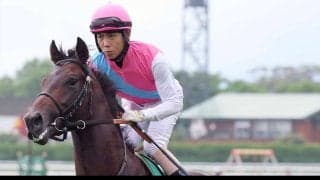 【もみじＳ・水納の特注馬】函館２歳Ｓ１２着のロンドンガーズの巻き返しに期待　良馬場なら違う