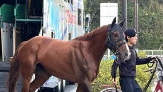 福永厩舎に初のＧ１級タイトルをもたらしたメイショウハチローが帰厩　陣営「まだ走れるくらいに元気いっぱいですよ」