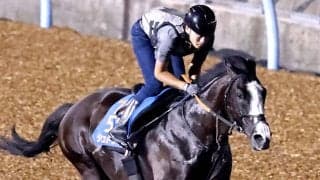 【注目馬動向】ジャックルマロワ賞９着のシュトラウスはキャピタルＳへ　キャロットクラブが発表