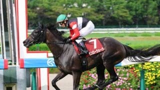 【秋華賞・超ブル診断ステップレース編】過去より劣る時計は明らかに馬場の差　ローズＳを３馬身差で制した新星が最高評価