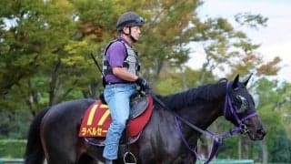 【秋華賞】４戦３勝ラベルセーヌの勢いは本物　鹿戸調教師「特に精神的にかなり大人になっている」