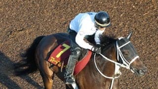【秋華賞】母は１３年２着で重賞４勝スマートレイアー　成長著しいスマートプリエールに陣営「すごい体も大きく…」
